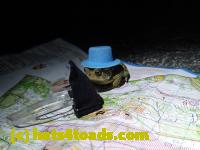 /home//u458753944/public_html/sourcegallery//Roxborough Toad Detour/2013-2019/2017/P4110723.JPG